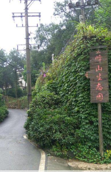 玉峰山森林公园玉峰山森林公园：四大功能区等你体验